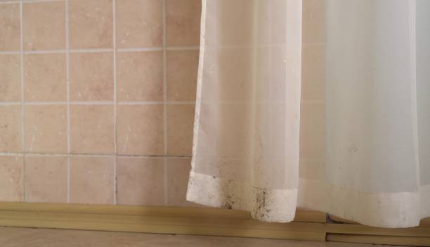Mold Odor Removal Services in Warr Acres, OK